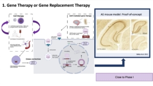 Gene Therapy or Gene Replacement Therapy