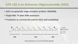 GTX-102 is an Antisense Oligonucleotide (ASO)